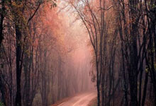 炒股杠杆平台哪家好:那个股票app安全好用-沪指下跌0.96% 半导体产业链表现活跃 军工股回调